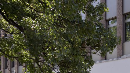 Image bâtiment Ifage