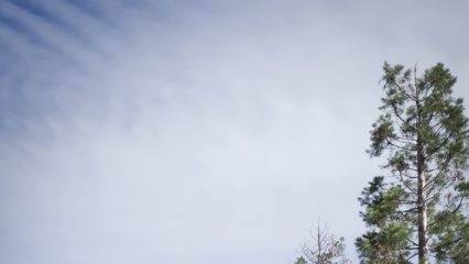 Image bâtiment Ifage