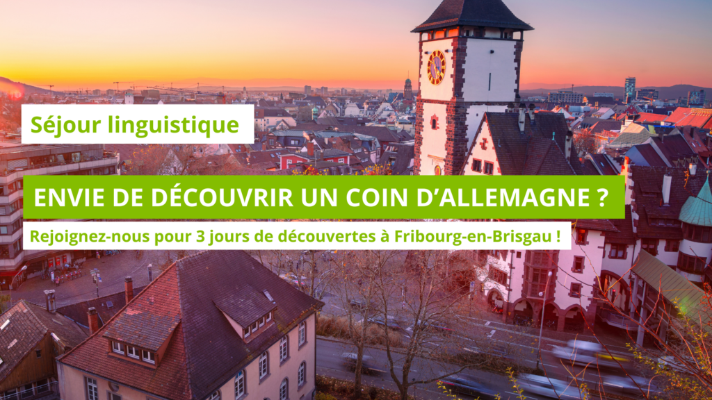 Projet Séjour lingustique news + post